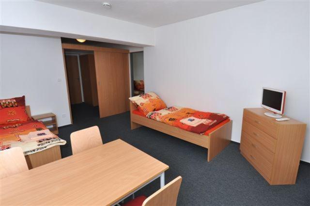 Sport Hotel Ticha Orlice Ústí nad Orlicí Cameră foto